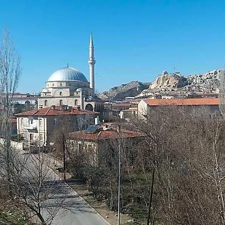 Hotel Sena